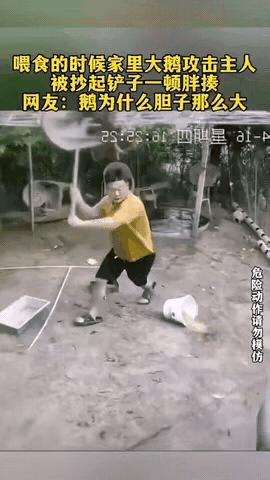 这哥们有点失态了，跟一只大鹅发起了脾气，这要是气个好歹的，也太不值得了，一只大鹅