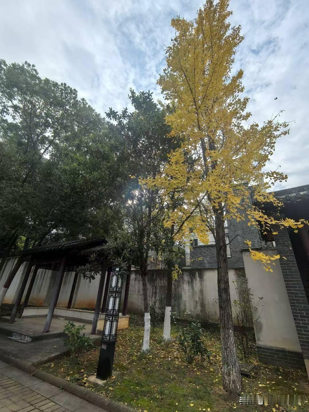 武汉地铁客流量昨日为364万人次。[呲牙笑][呲牙笑][呲牙笑]爆料身边事周日