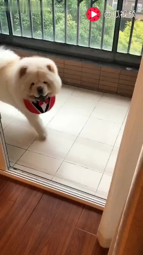 267183514361480861.jpg?id=0