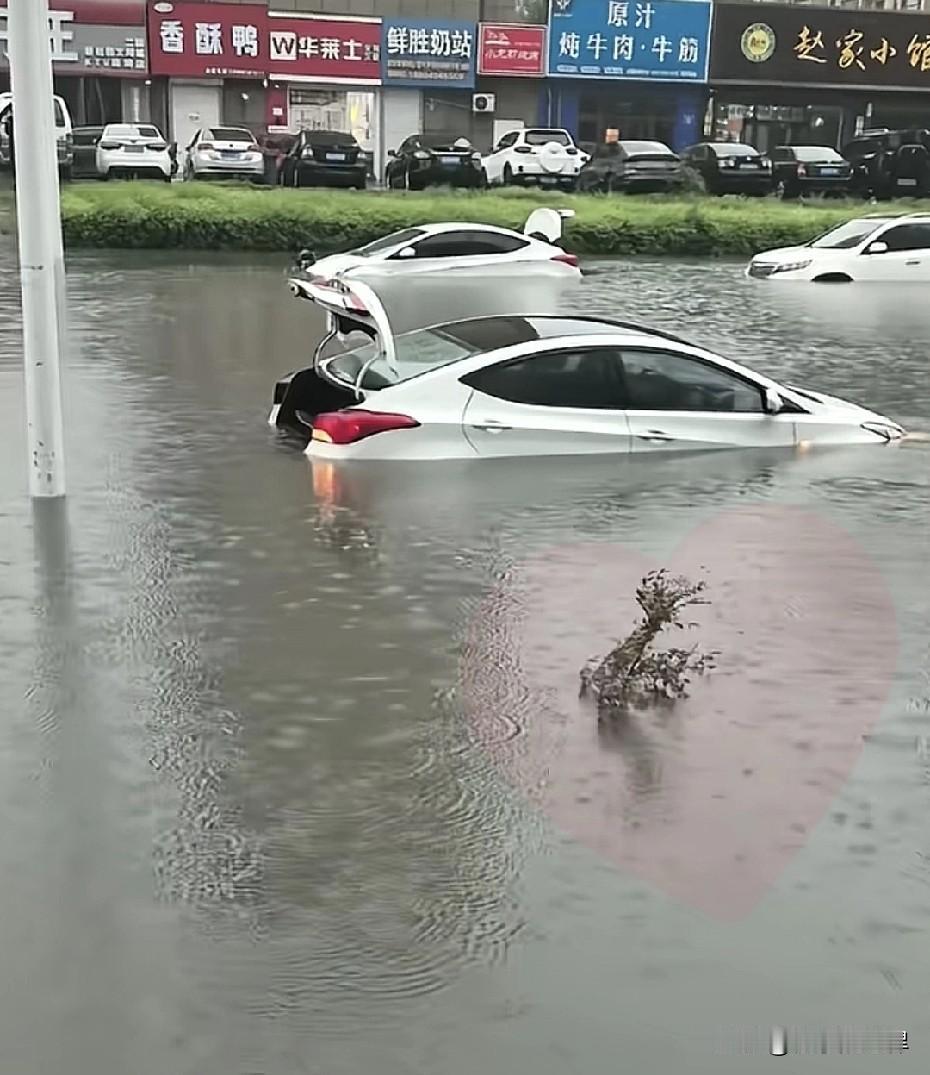 沈阳纯天然大浴池，给你免费泡澡[捂脸哭]，总说不洗车不洗车这回直接透心凉。5.1