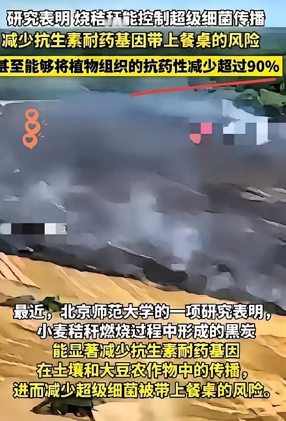 别被“日本人提案”的传言带偏！禁烧秸秆从不是外人的阴谋，而是咱们基于环保和农田保