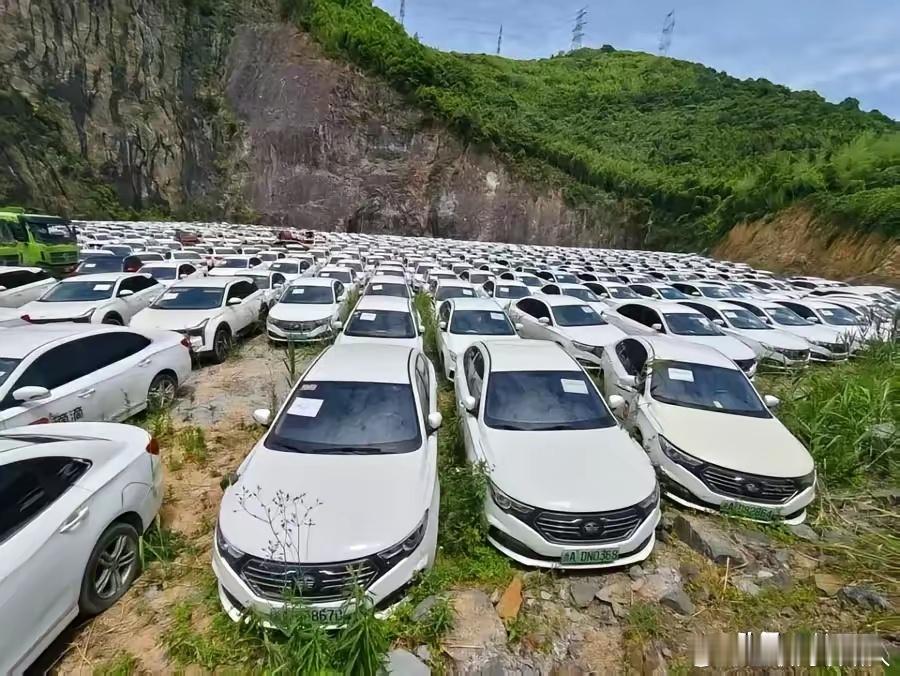 1024辆车子停在野外等着拍卖，起拍价1800万。这地方荒草丛生的，怎么会堆着这