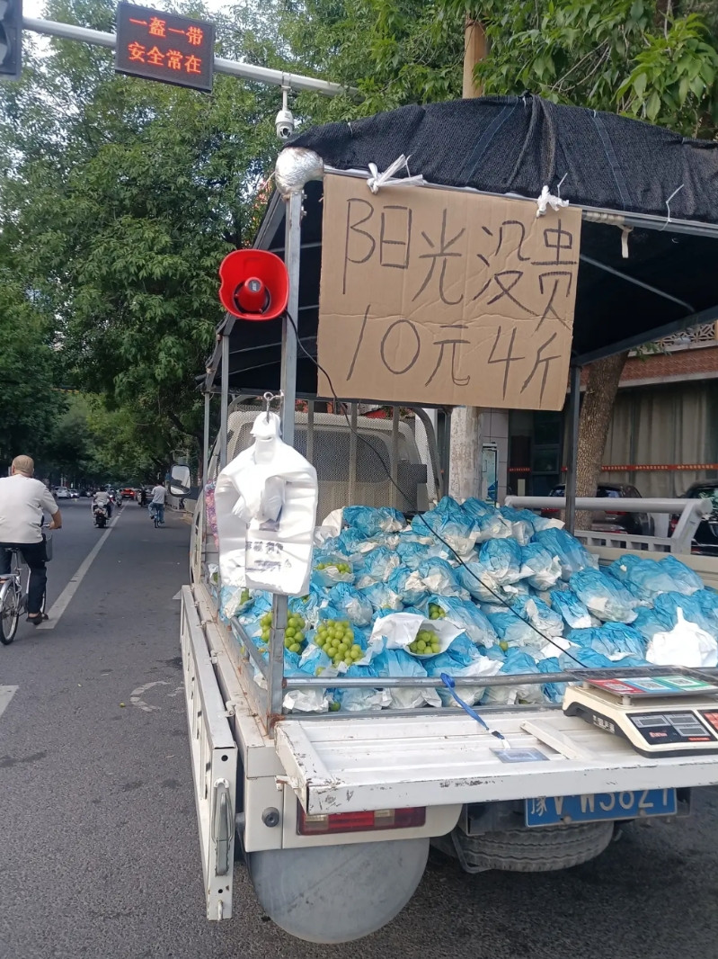 哈哈，阳光“没贵”！昨晚下班路上，看到有人卖“阳光没贵”，仔细一看，是“阳光