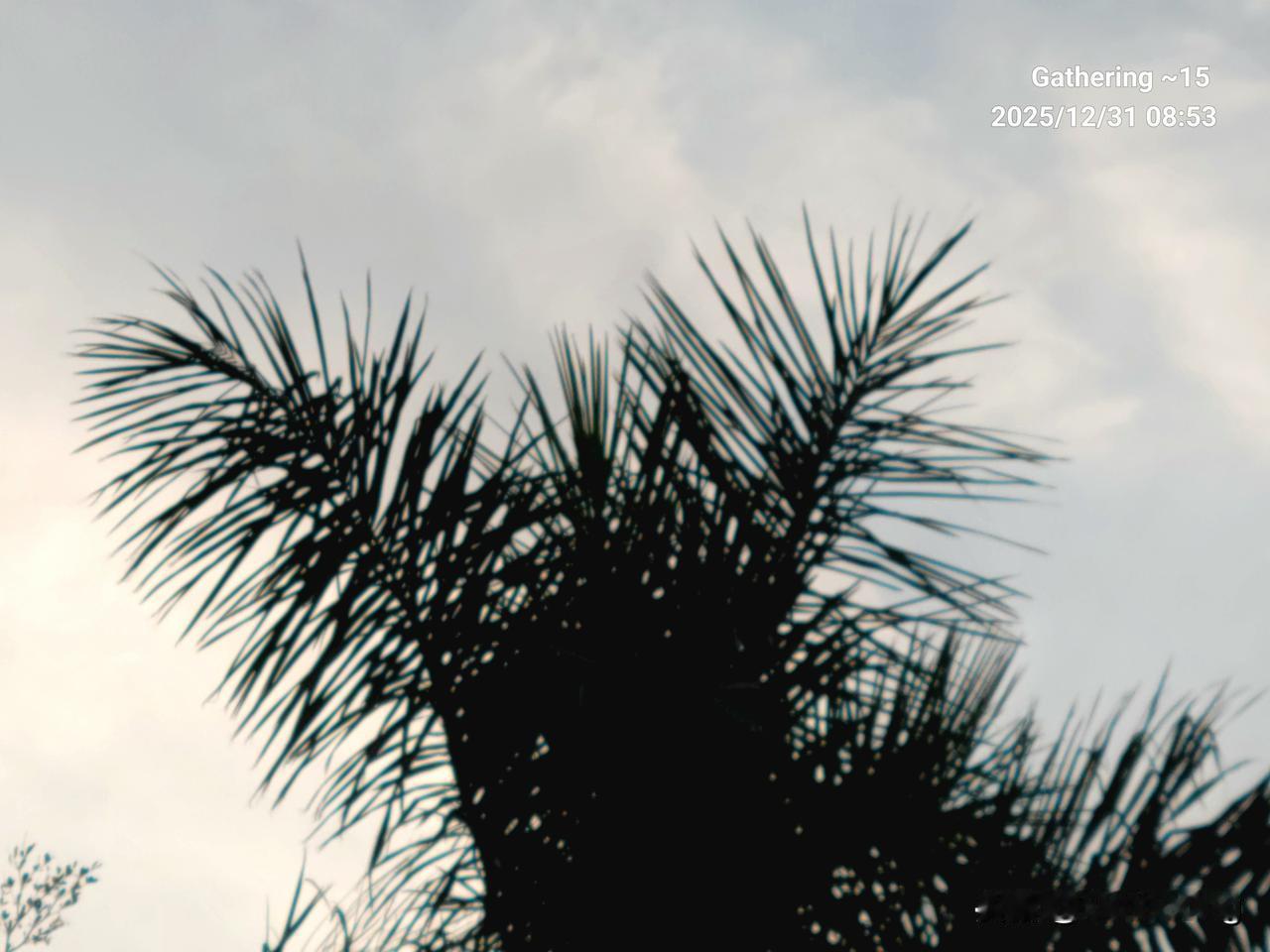 今天广东开始冷了，早上起来的温度比昨天少了5度左右。我前几天看天气说广东要降温