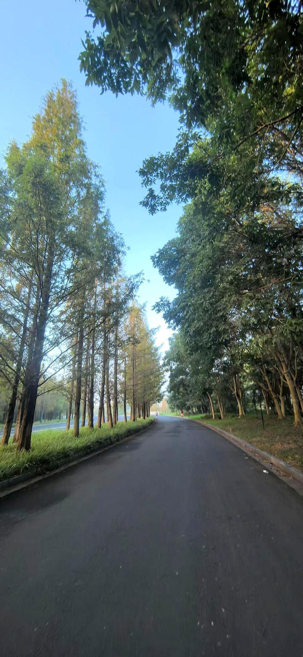你观察任何一个成功人士或者混得好的人，都会发现一个铁律：所有的关键时刻，重要机会