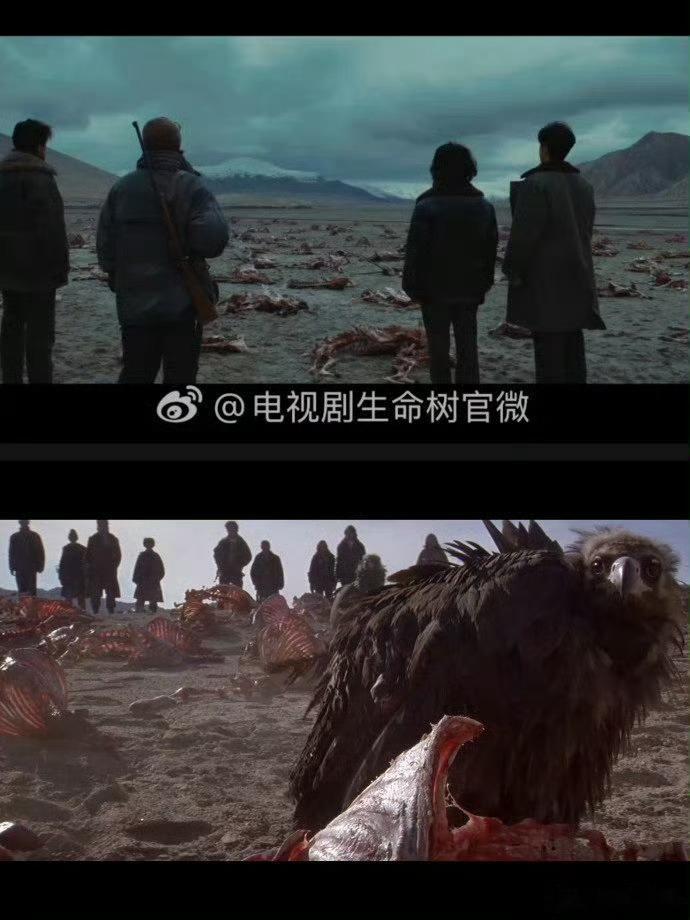 生命树正午的人起好早，还是没敢睡，一直舆情监测啊，这就限流了？那再发一条，大厂