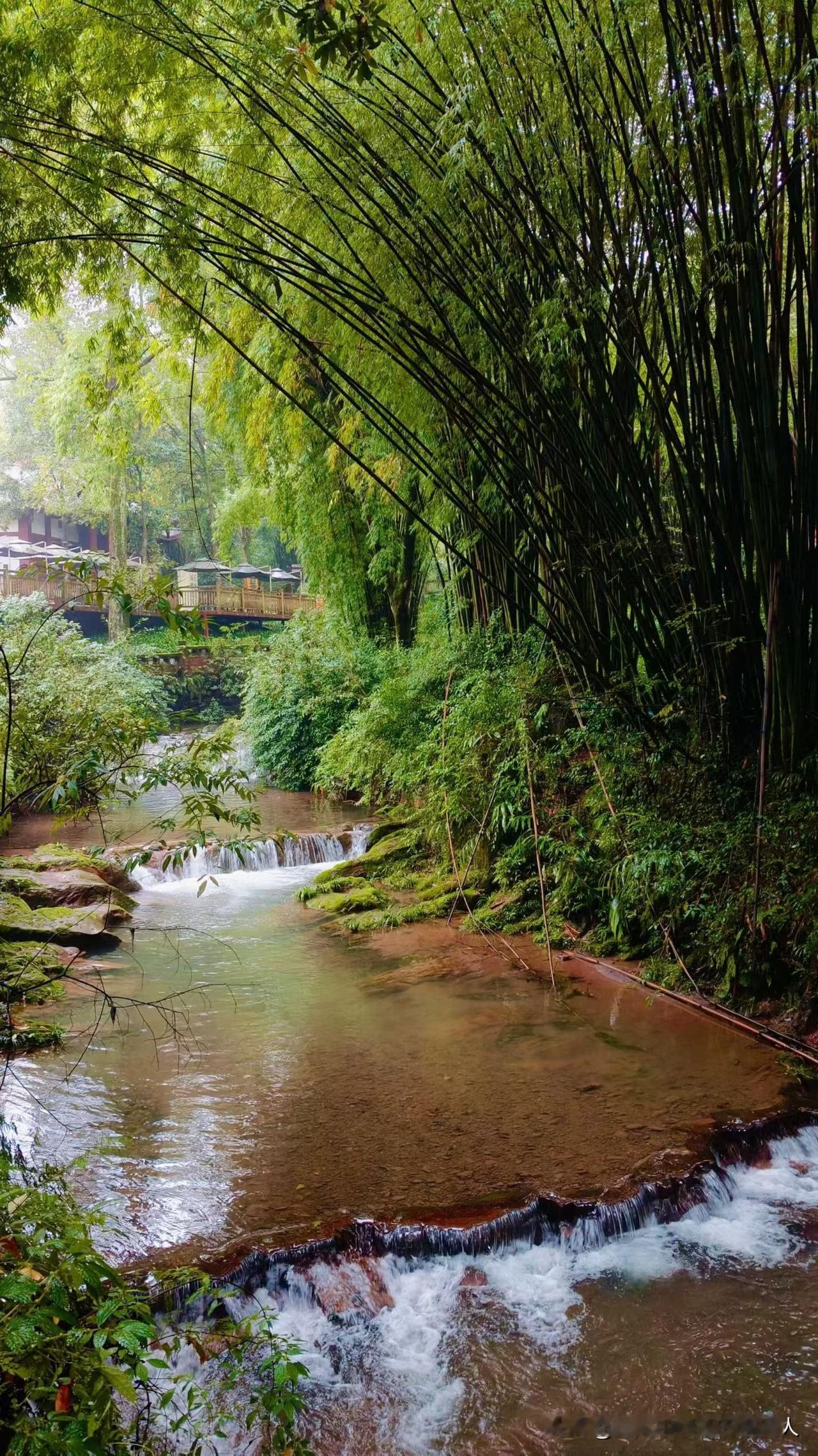 我婆婆今年66岁。公公70岁，两个人都有退休金，两个人的退休金加一块不到一万，手