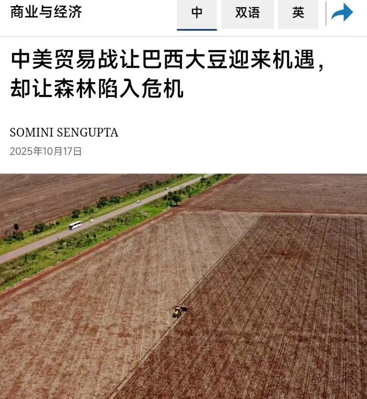 ☁怎么看待纽约时报发文章指责中国购买巴西大豆破坏了亚马逊雨林？这些年中