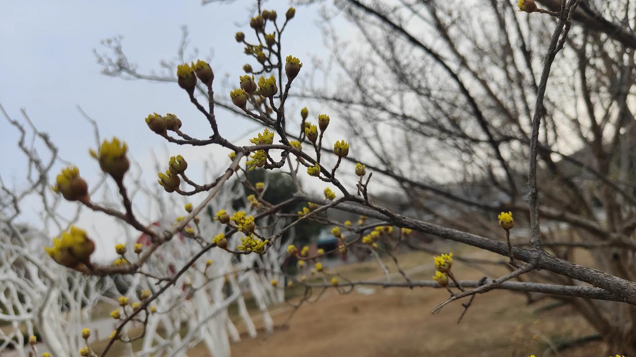 真忍不住了。现在网上有人说，婴儿喝米汤比喝奶粉还要健康。真是胡说八道。我评论了一