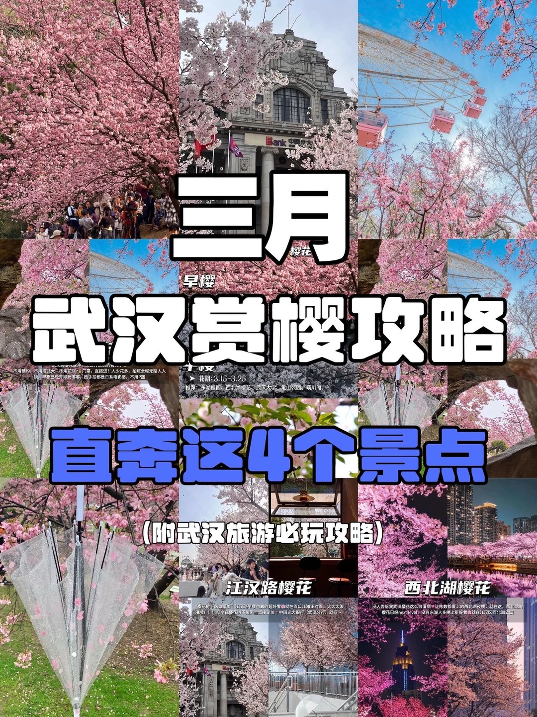 过了三月别来武汉😅武大樱花都秃了。。。。。