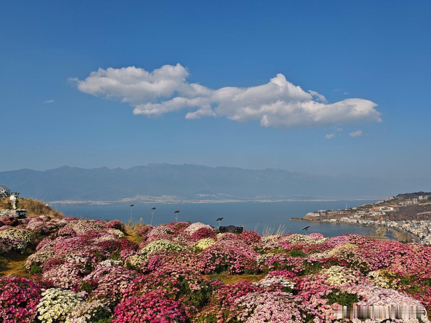 洱海真挺美的，爬了一座景点废弃的山，人特别少，很棒