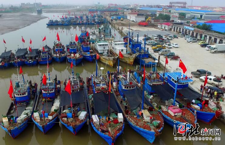 渤海休渔期结束 黄骅近千艘渔船出海作业