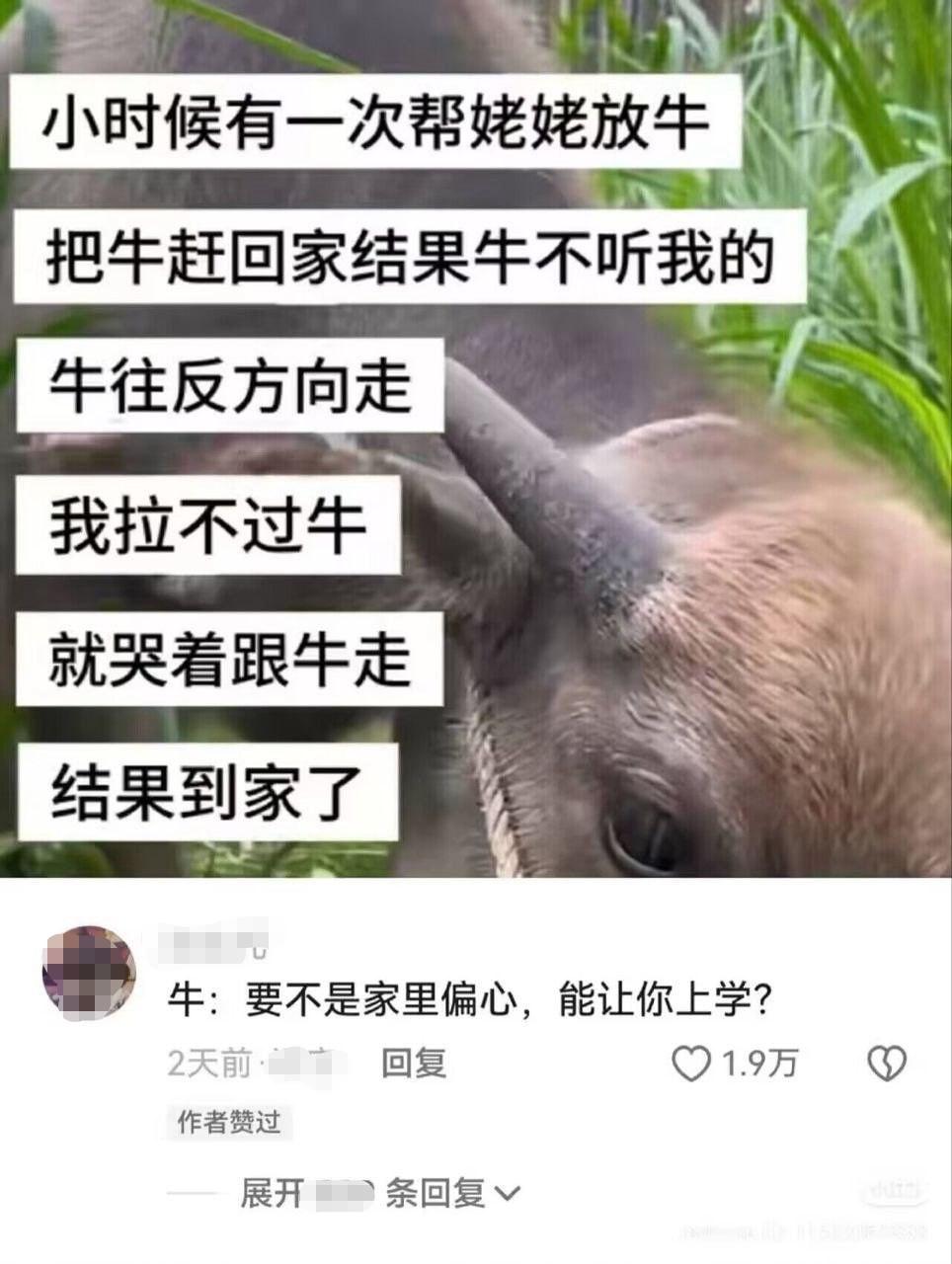 牛当时心里怕极了“这小子不会是想把我卖了吧？”