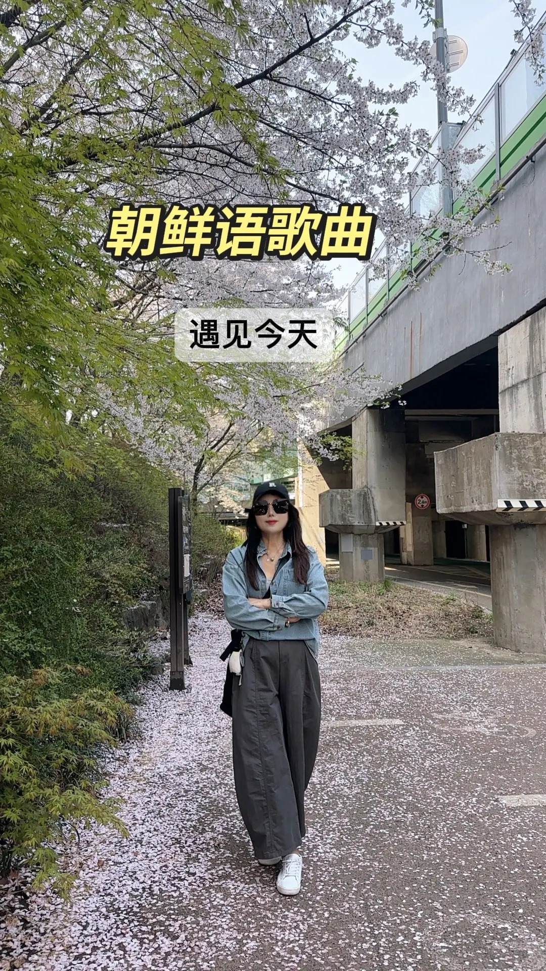 朝鲜语版 户外街拍 美食创作人