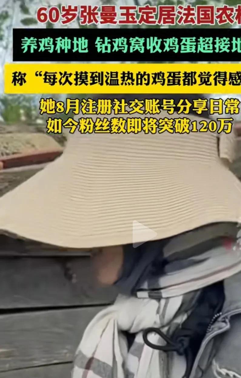张曼玉定居法国农村钻鸡窝捡鸡蛋，引发网友热议，为什么要选择法国呢？中国不也有农村
