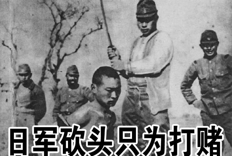 如果面对一只狗狗或一只猫咪，你有没有勇气对它们做这些事？敢不敢把它们身上浇上汽