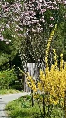 清明聚餐，平均年龄60岁的三个弟弟，殷勤劝酒，让70岁的姐夫喝醉了。大姐气哼哼