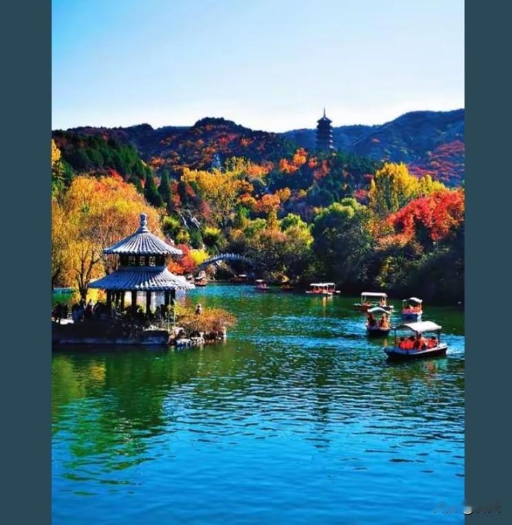 职场生存密钥职场核心真相，藏在“少问为什么，多思怎么办”里。领导要的从不是