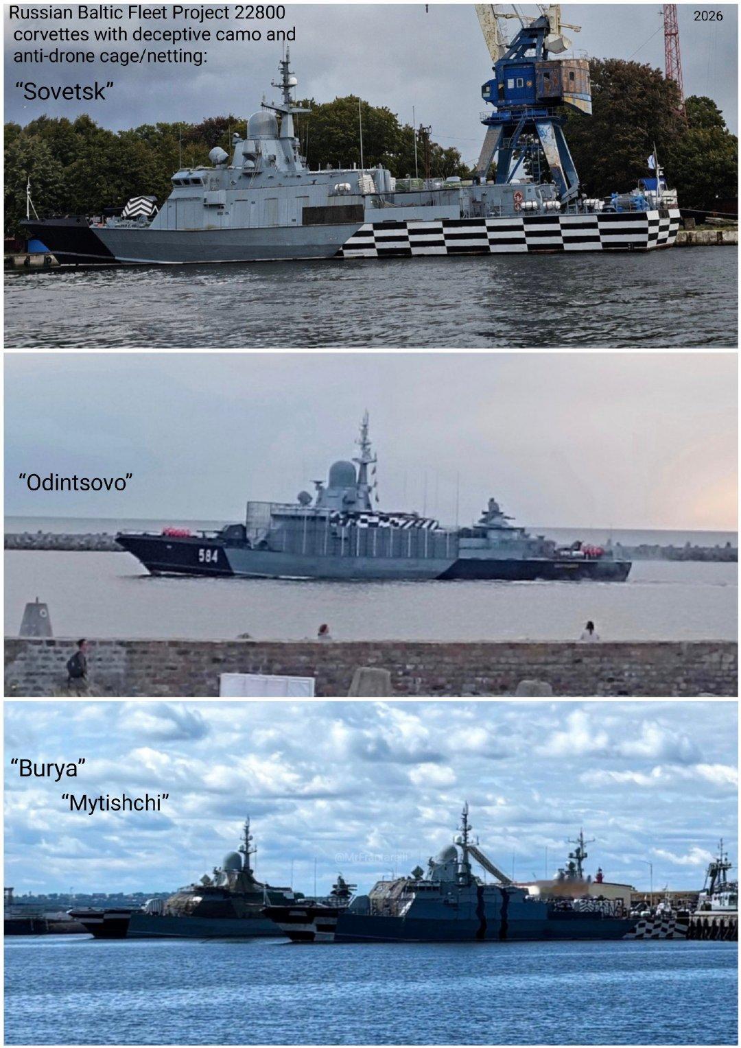 俄罗斯海军波罗的海舰队的4艘22800型“红带蛛“级小型导弹舰：“梅季希”号、"苏维埃茨克"号、“奥