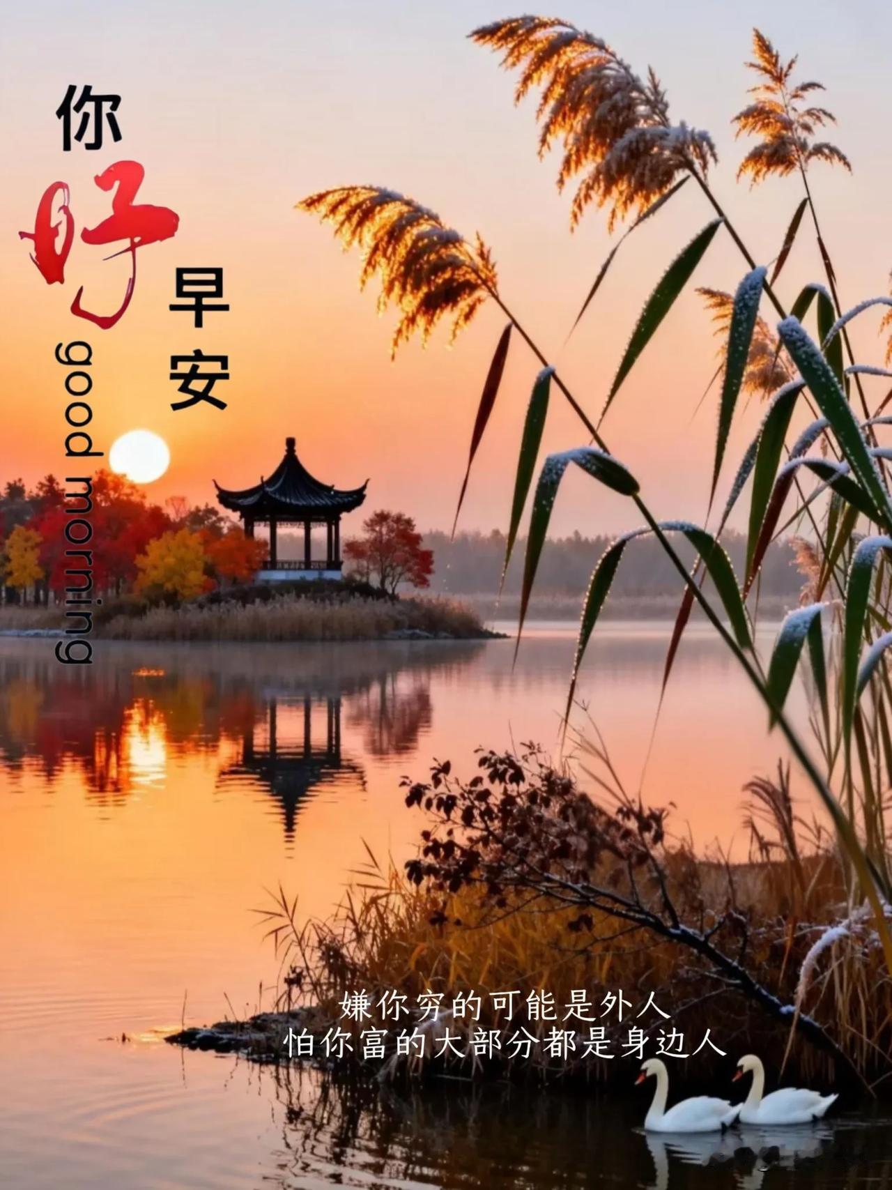 落日融金映水亭，芦花带雪晚风轻。人间冷暖须看淡，守得心安万事宁。