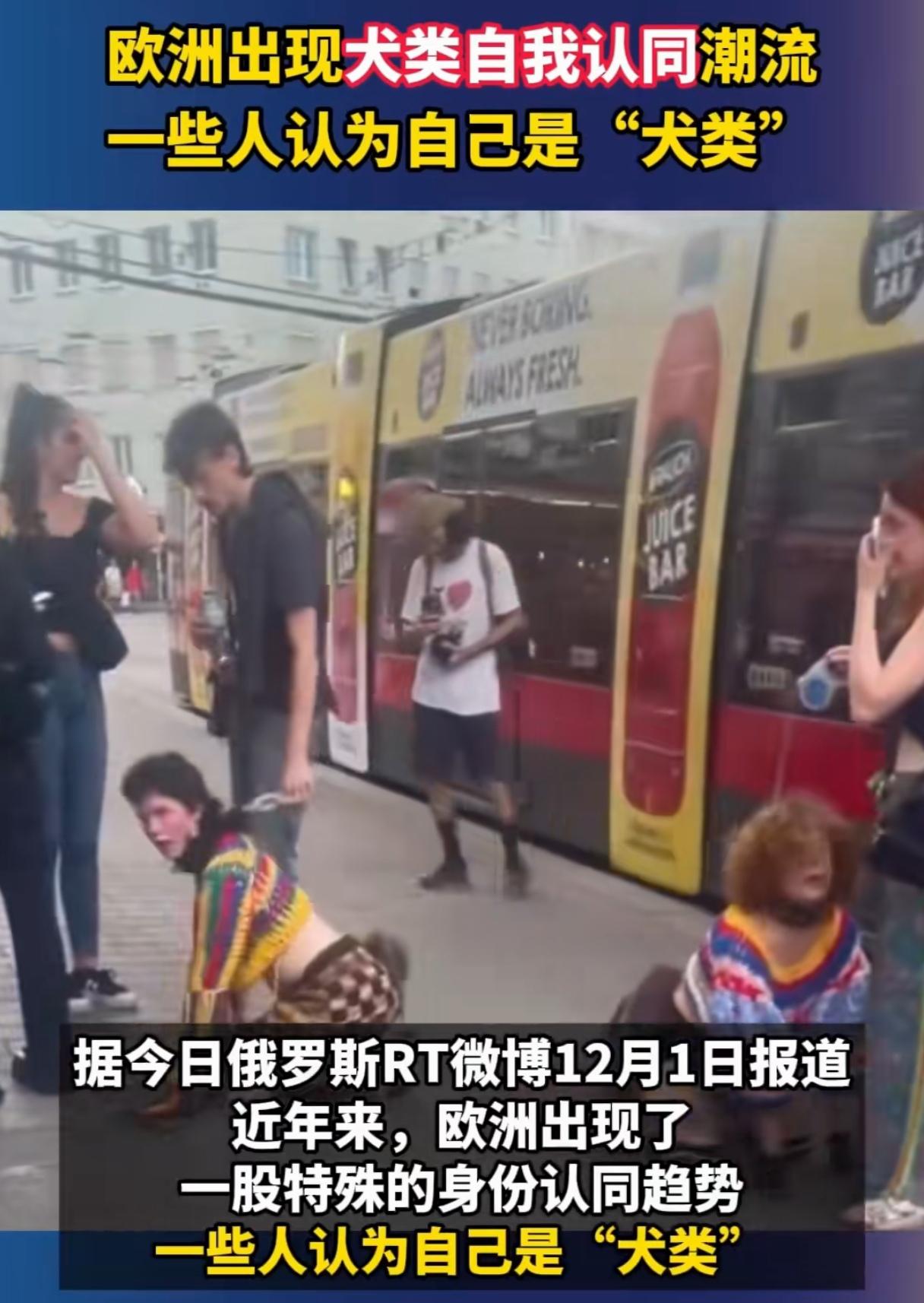 放着好端端的人不当，非要当狗！西方人的操作让人难以理解！据说最近欧洲一些国家