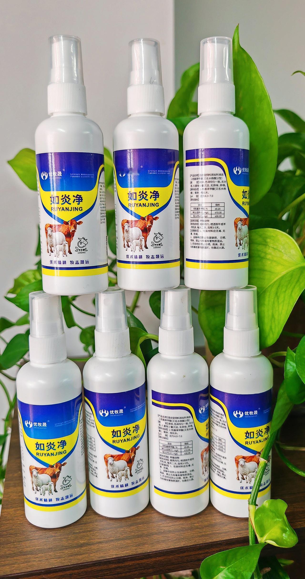 养羊人农村养羊牛羊养殖