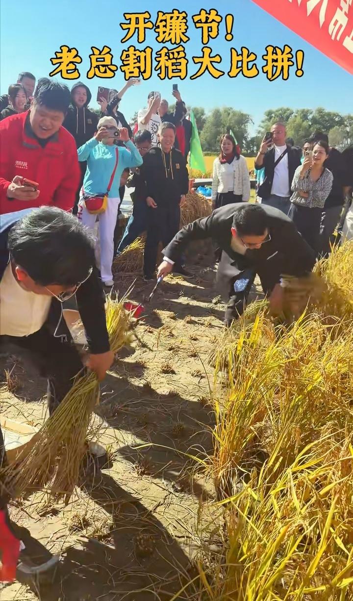 五常大米开镰节，陈光标和乔府大院乔董事长，来了一场一分钟割稻谷PK。一身西装