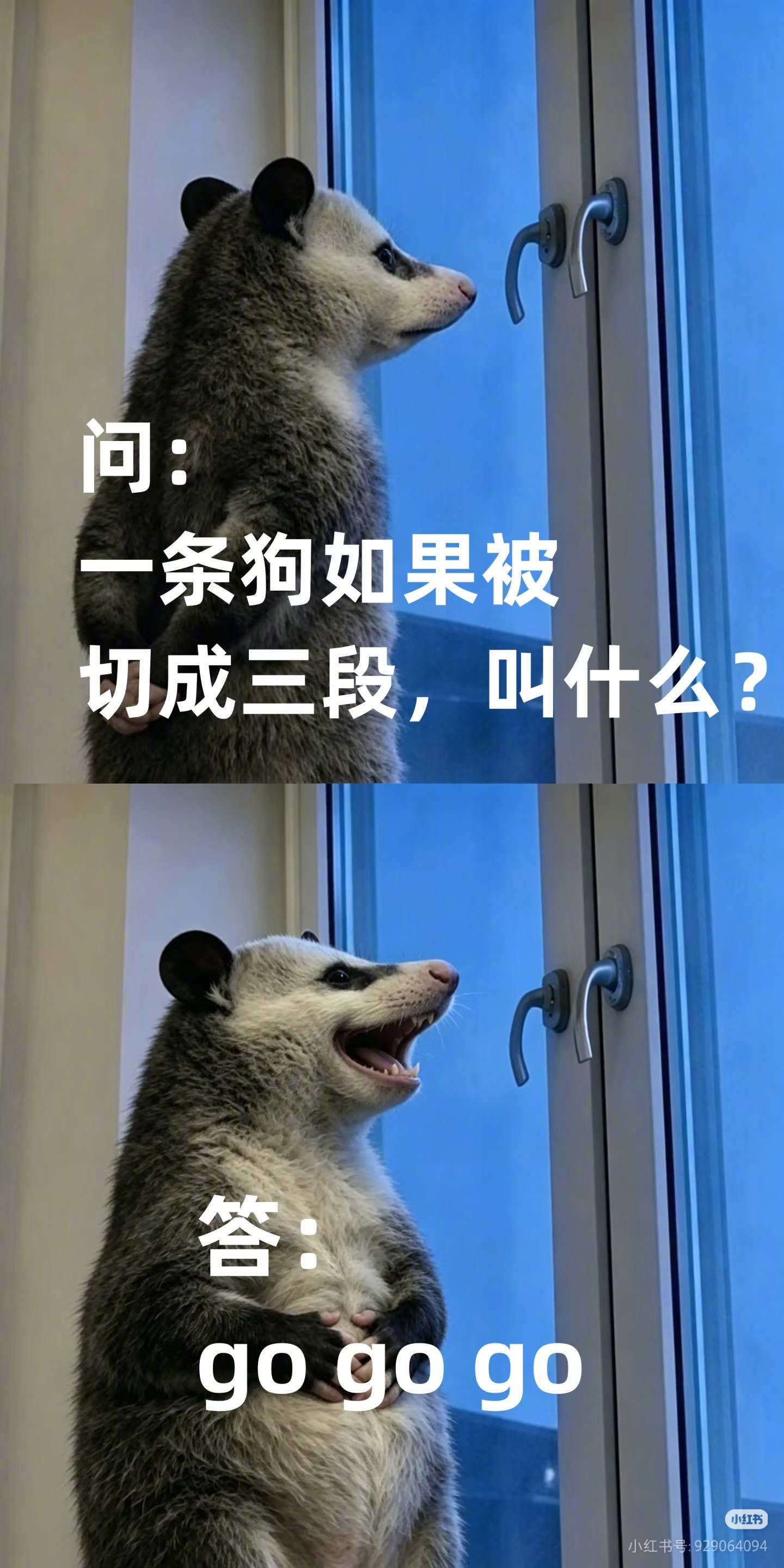 天气太热，给大家说几个冷笑话降降温……