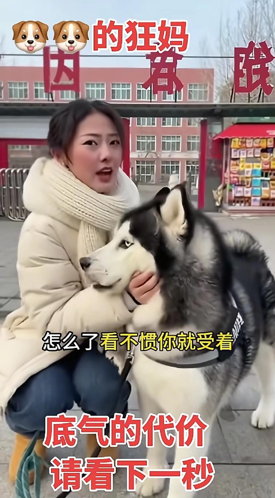 人性的固执往往比意外更可怕，深圳南山这件事，狠狠给盲目爱狗的人上了一课。