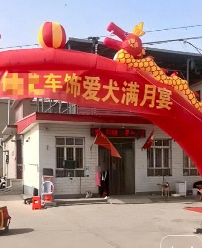 “这饭是请狗吃还是请人吃？”4月河北武安，一店铺给狗办满月宴，现场敲锣打鼓，载歌