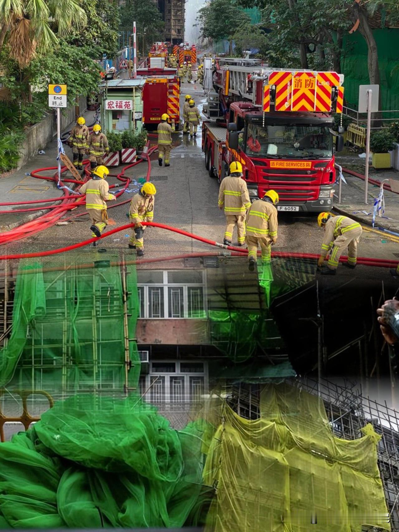 香港这回是真的杀红了眼，一点面子都不给。一声令下，全港200多栋楼的外墙网，