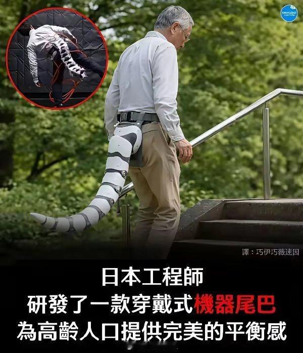 这个设计没有离谱只有最离谱！