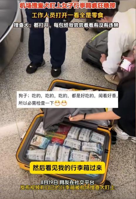万万没想到！天津，一女子过机场安检时，搜查犬突然盯上她的行李箱，开始疯狂嗅探，工