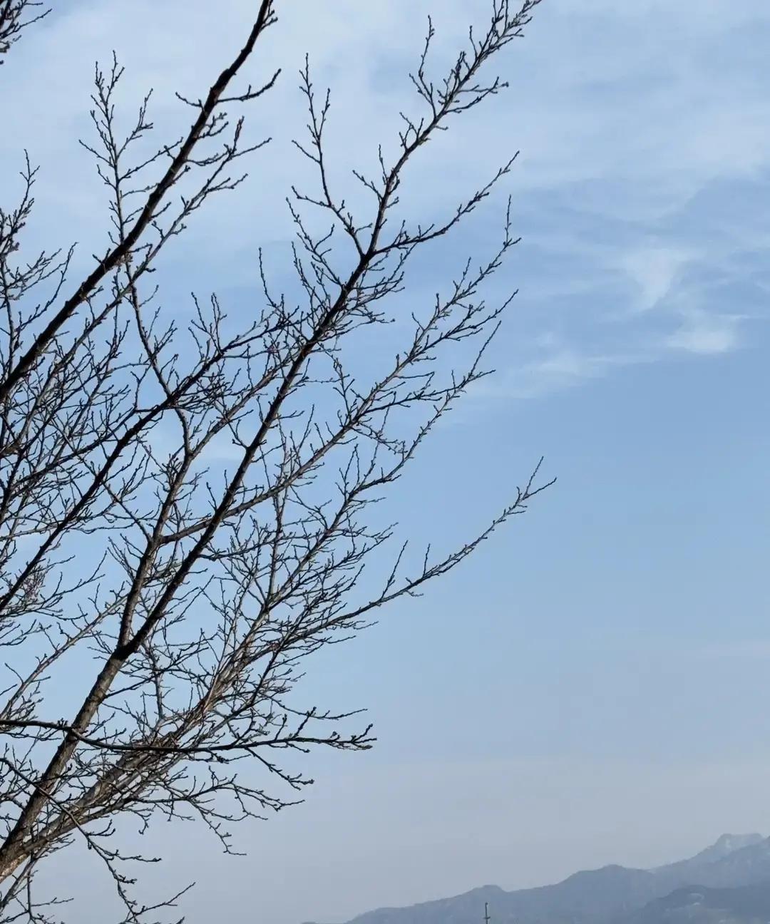 网上疯传退休女人“活明白”五件套：窝家浇花体检旅行断亲。我刷到那条小红书，点赞