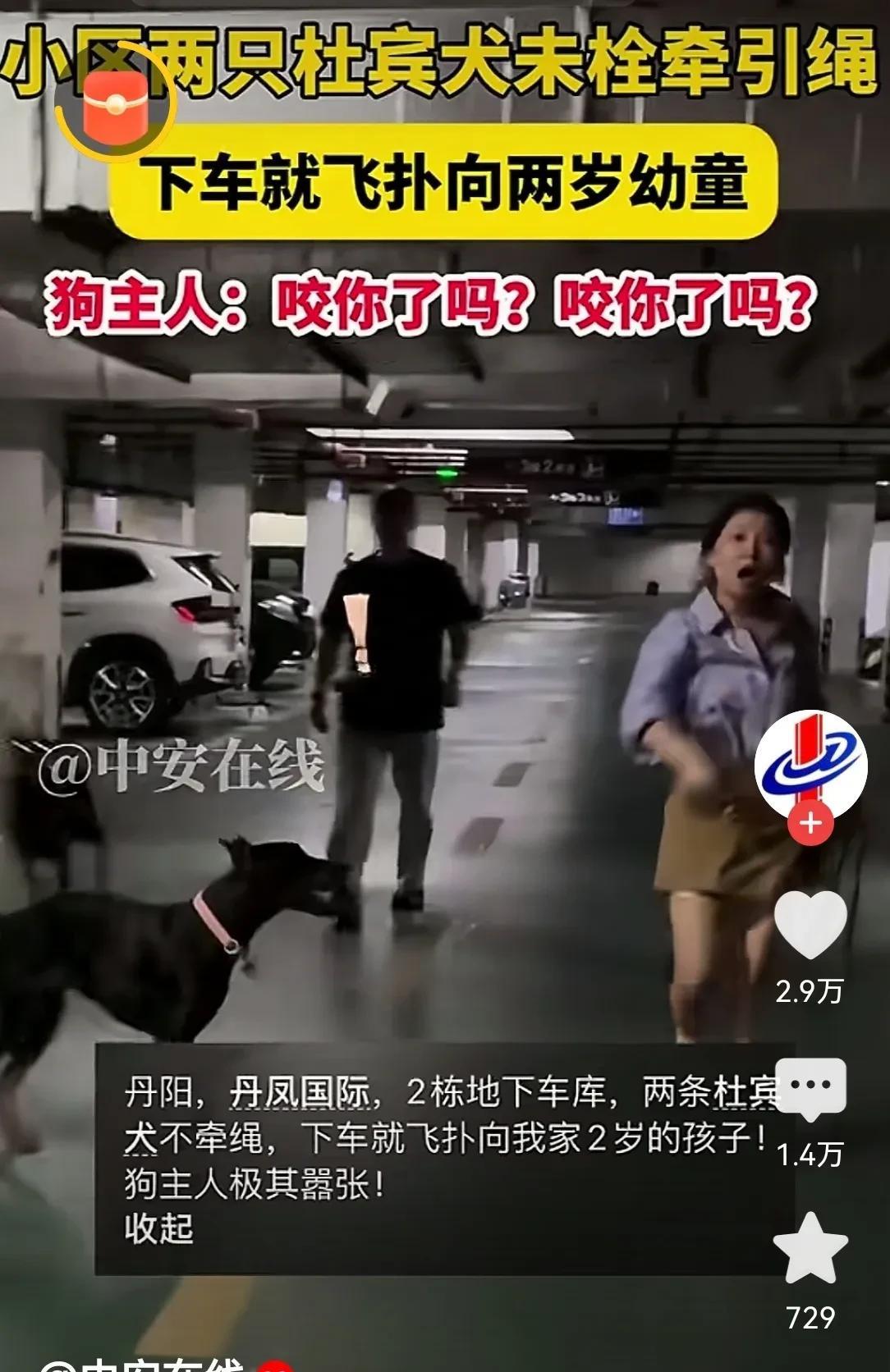 杜宾犬事件“完美”解决了今天下午，记者从辖区派出所了解到，闹的沸沸扬扬的杜宾犬