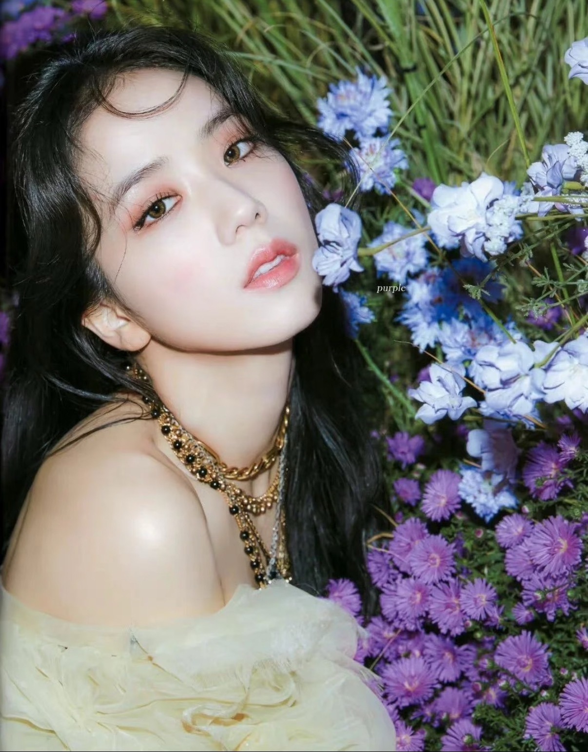 金智秀金智秀心动初恋“仙子何必早早归来呢”你知道，有些鸟儿是注定不会被关在牢