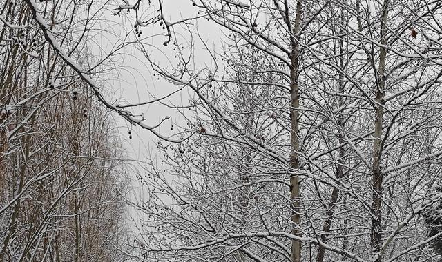 马斯克说：地球上未来发生最大的问题，就是人口崩溃，而不是人口过剩。他还严正警告说