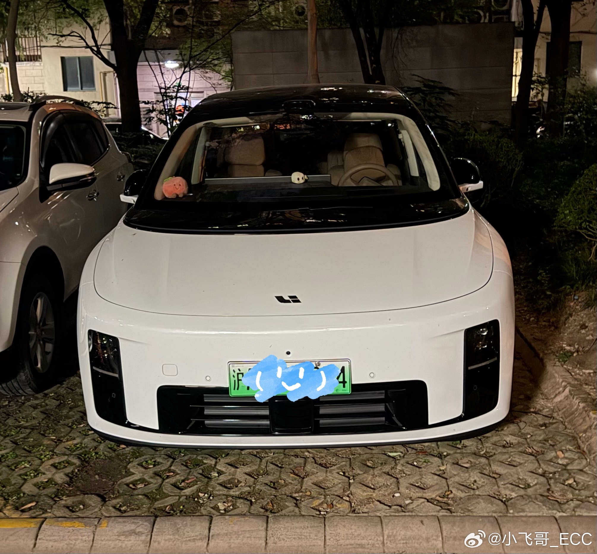 家人们如何看车头第一眼能区分出是理想i6还是i8？昨晚和媳妇去散步，正好看到领居