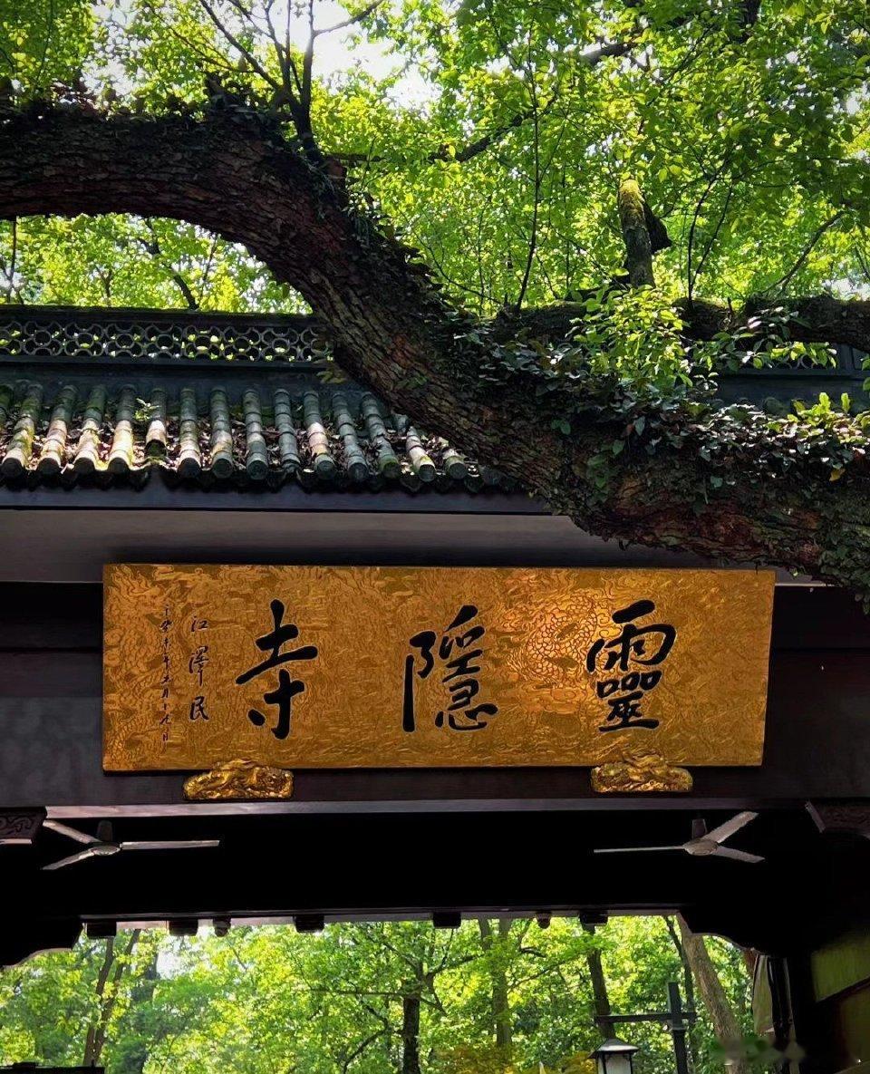 灵隐寺被38万鸽王上了一课免费不是浪费的借口！灵隐寺56天38万爽约记录太扎心