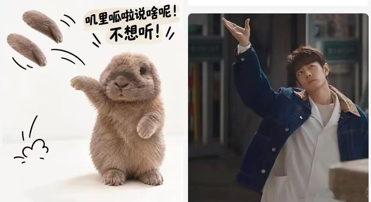 猫宁，亮亮藕霸​​​