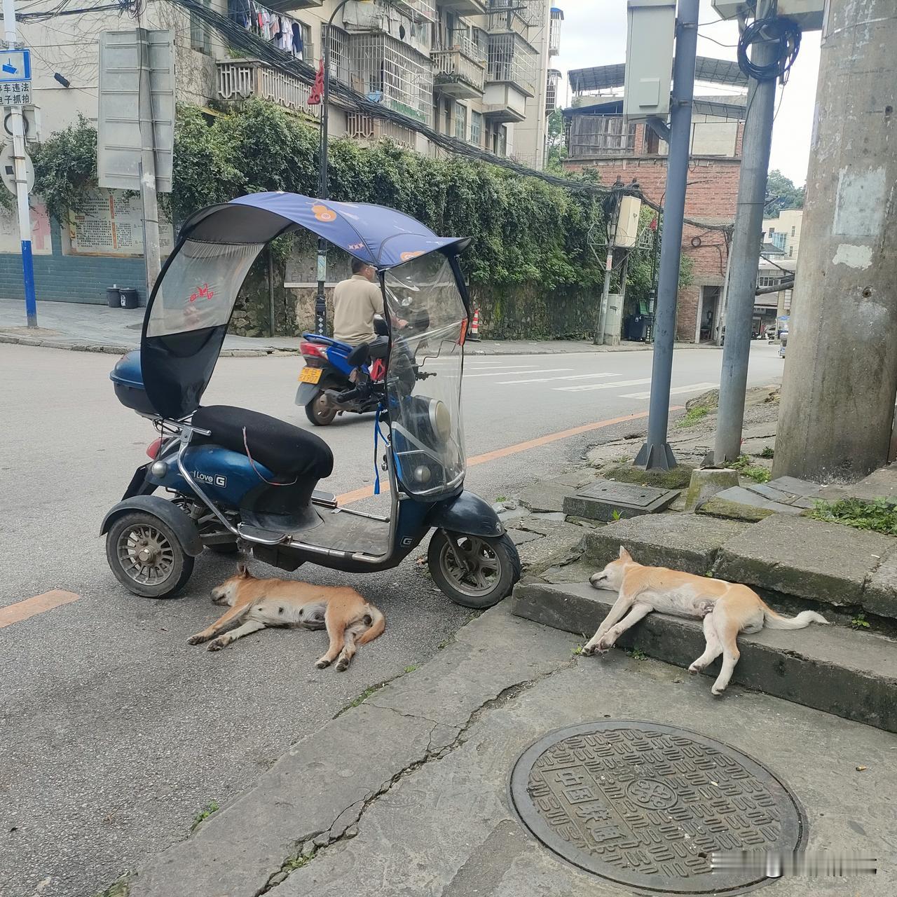 普通男人如果有爱好，大概都离不开以下的五大爱好。男人的五大爱好：第一抽烟，第二