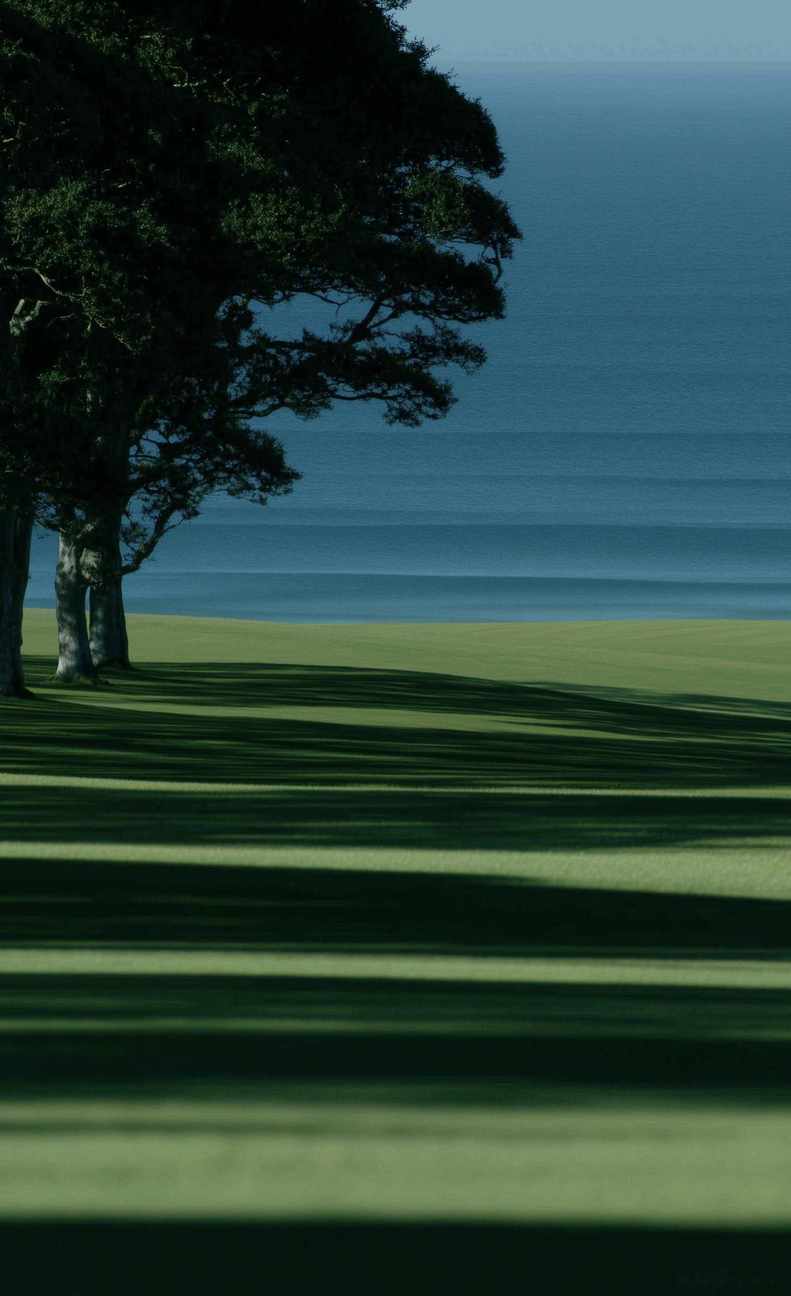 人一定要大量读书！我发现长期读书的人都有一个共性：话变少了，心却更静了。