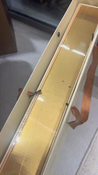 与辉同行月饼长虫？刚看到一位叫“一支胖微微”的网友爆料。称自己出于信任，在与辉