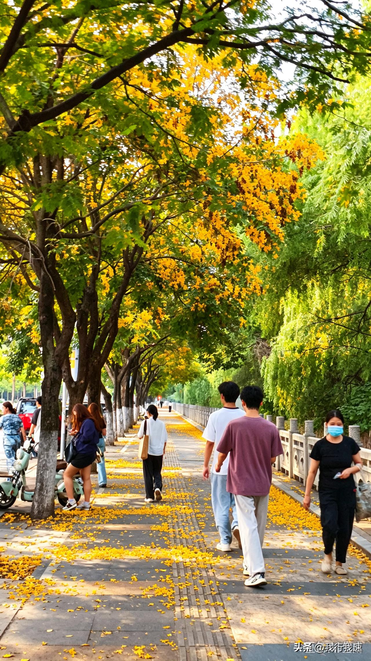 南京这波降温直接把入秋的氛围感拉满了，刚刷到南京市气象台发的暴雨蓝色预警，今天下