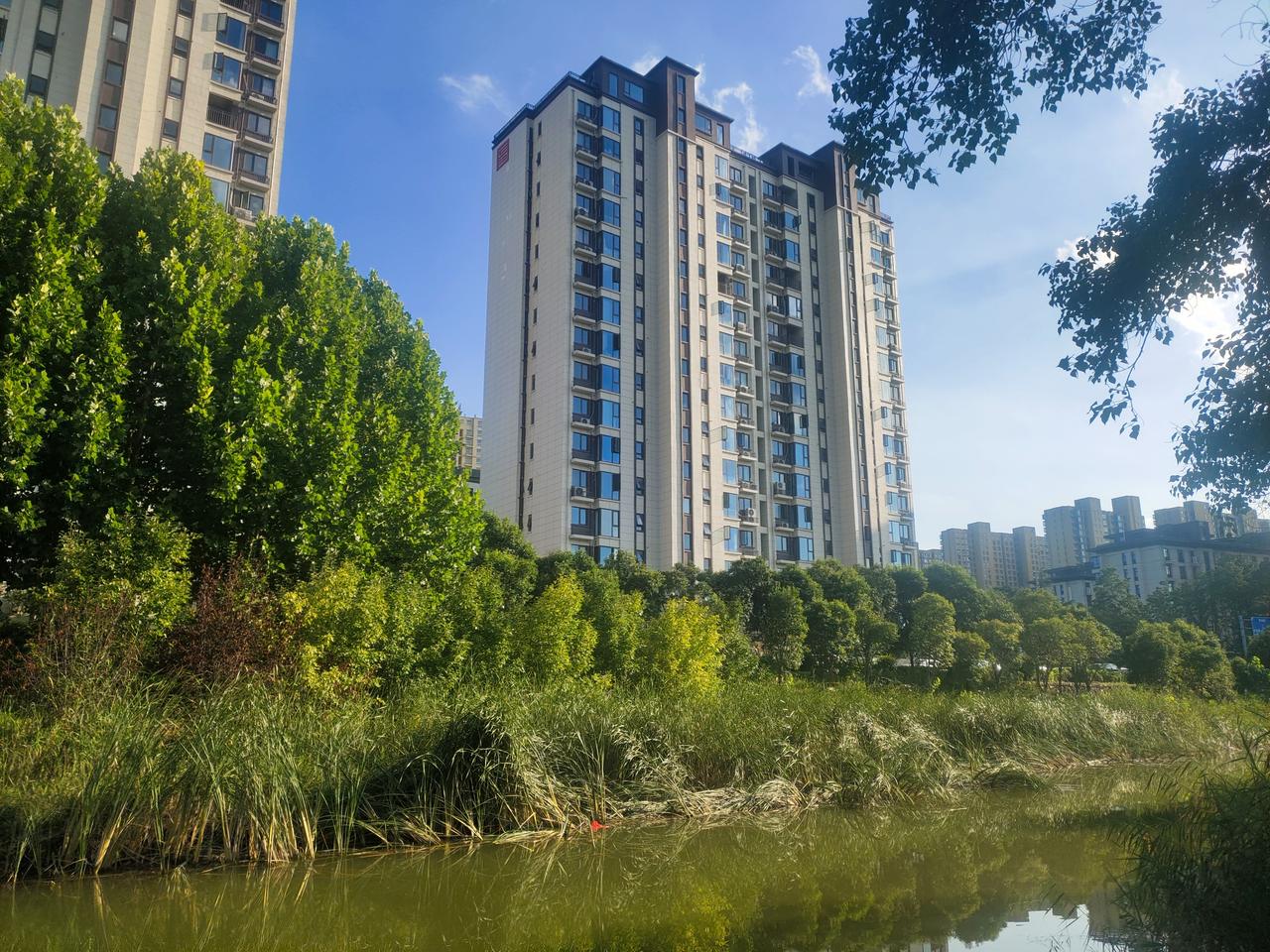 在炎热的夏日里，河边成了人们避暑的好去处，这里绿树成荫，野花盛开，蝉音缭绕，大自