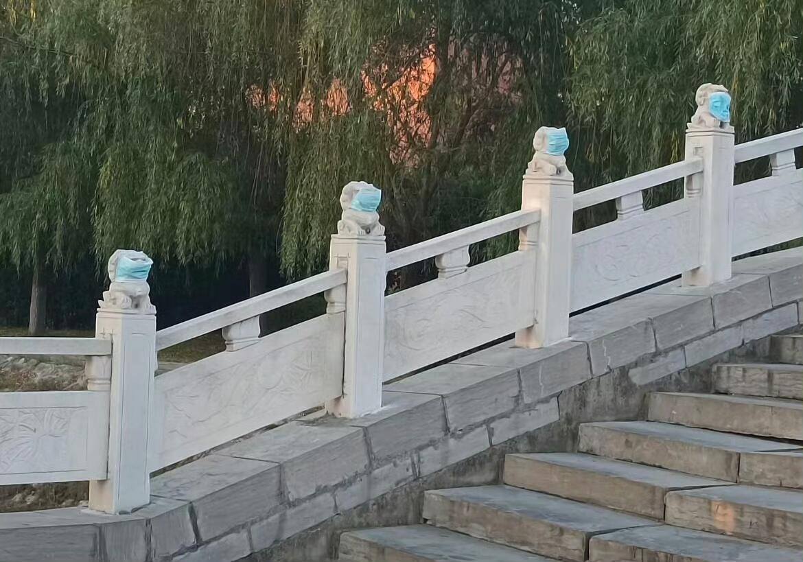 人类怎么这么可爱😍