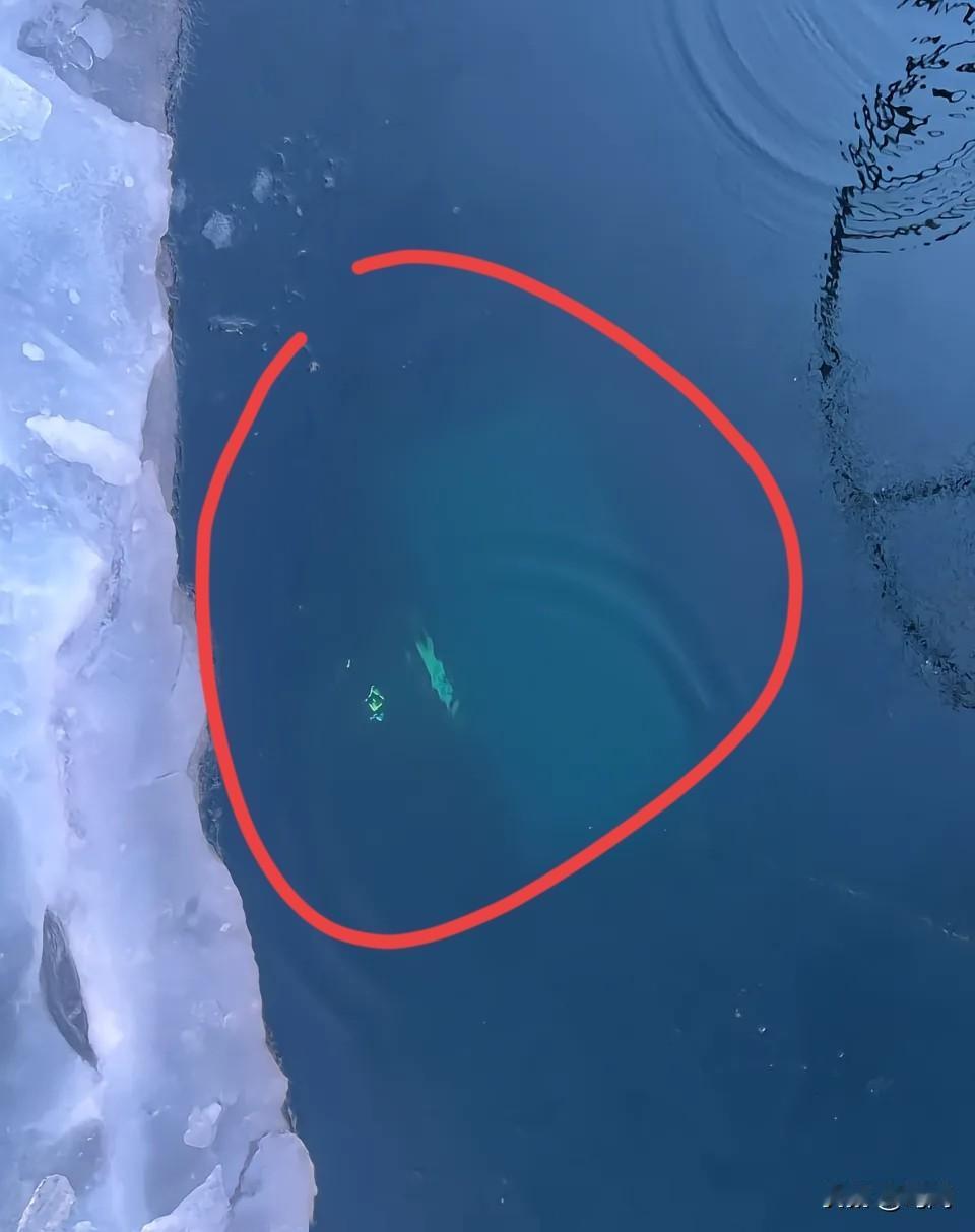 7名中国游客沉入贝加尔湖溺亡！目击者：“沉的太快了！想救救不上来”1名江苏游