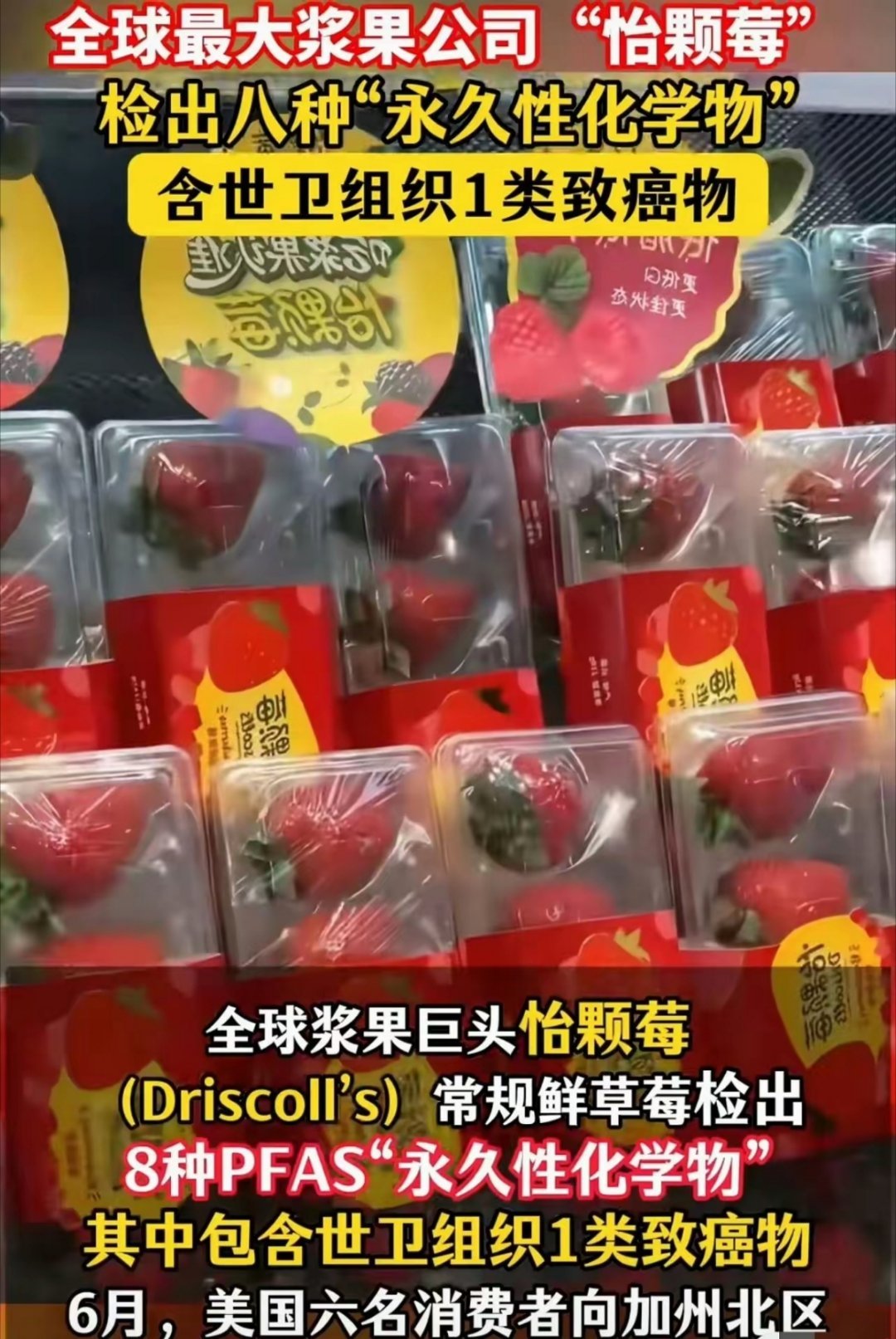 美国品牌怡颗莓检出致癌物一直觉得这个牌子的水果挺好吃的，蓝莓巨大一颗。一边高价打