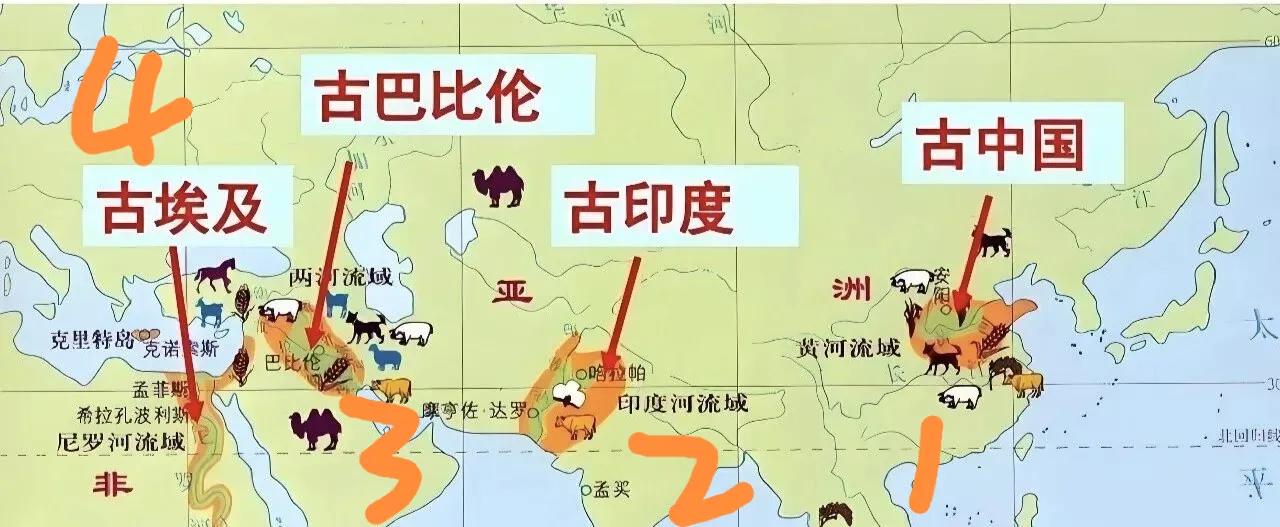横地图中古埃及、古巴比伦、古印度、古中国位置。