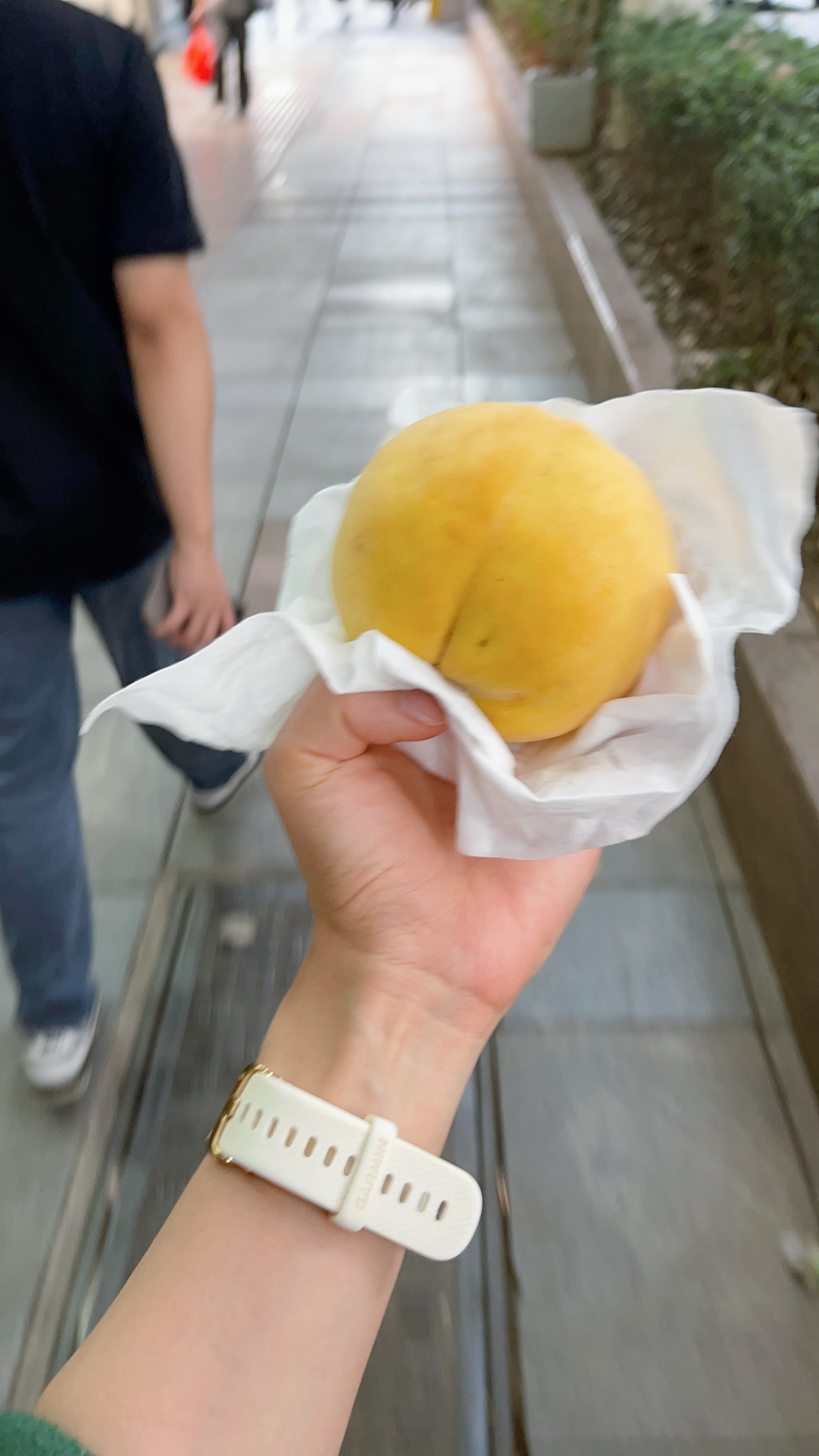 价值15块钱的晚餐